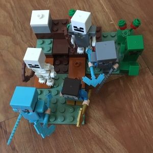 lego set 21162 The Taiga Adventure